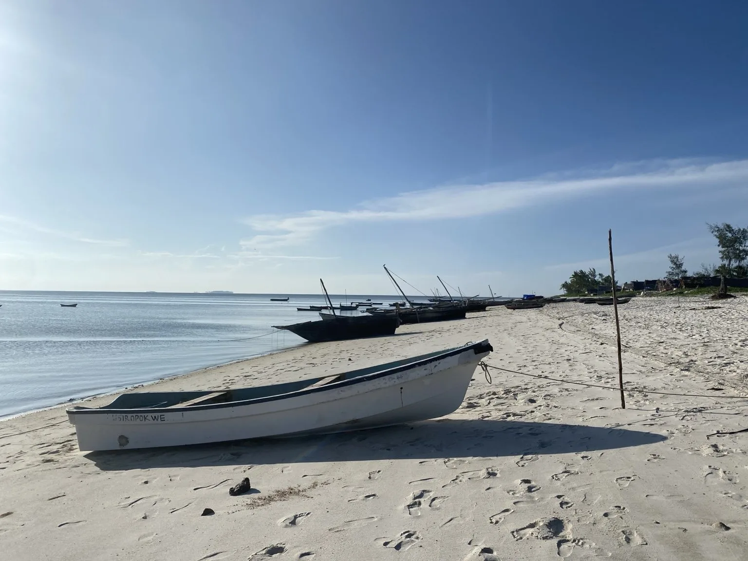 Pesca + Pranzo in Spiaggia