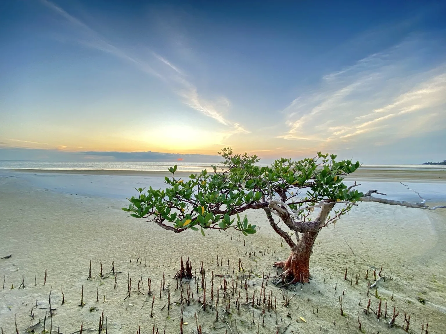 Birdwatching / Avvistamento Fauna
